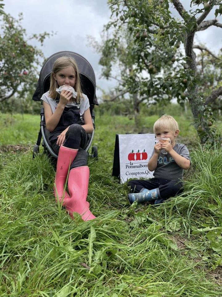 Valley Observatory Compton