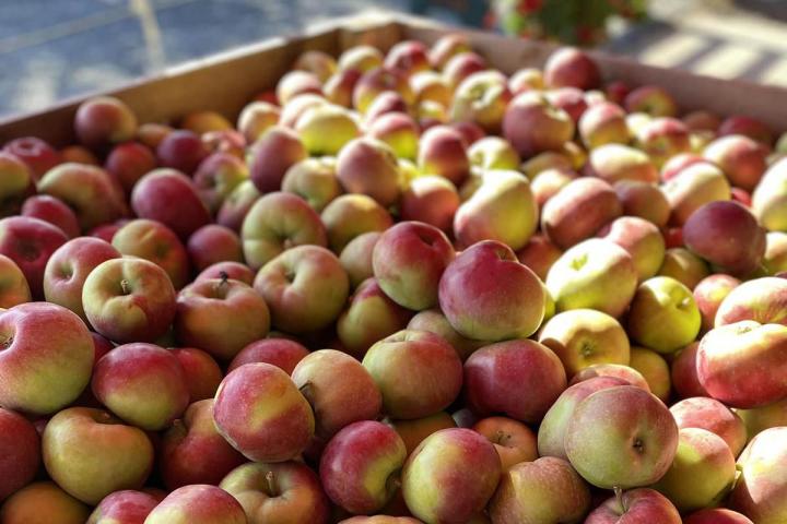 Une grande variété de produits faits maison à découvrir dans notre boutique.