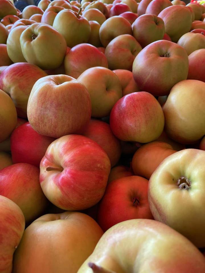 Orchard and Pick-your-own Compton